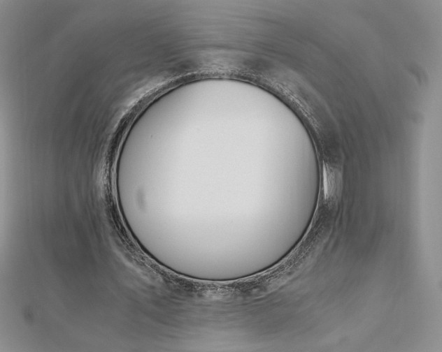 X0000113170579200909041323