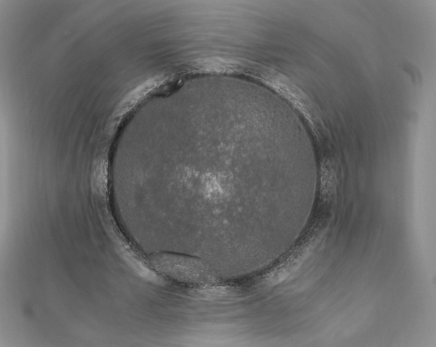 X0000113170581200909041323