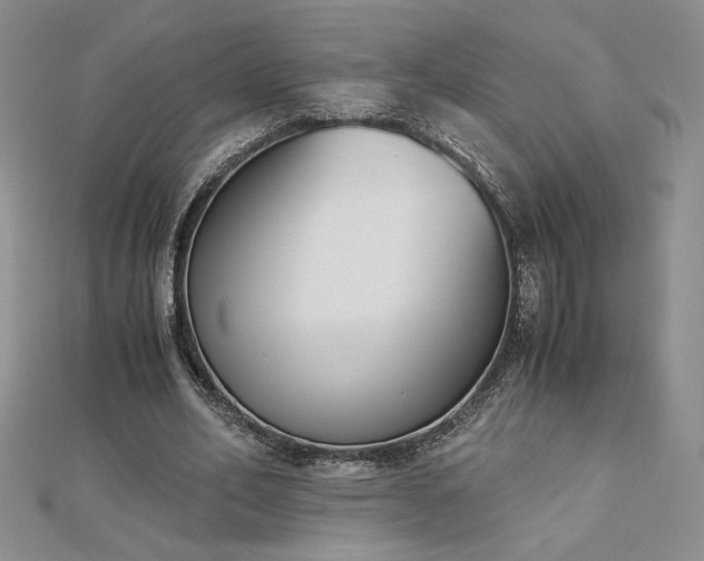 X0000113170582200909041323
