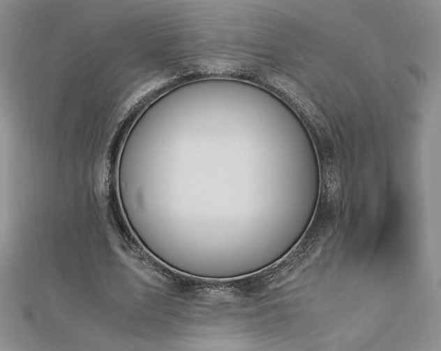 X0000113170583200909041323
