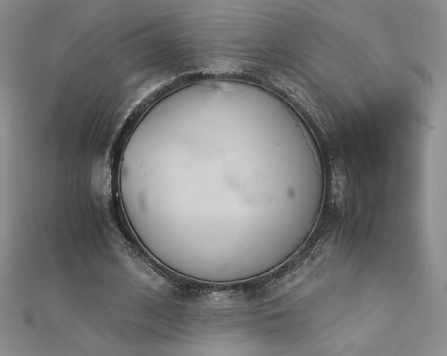 X0000113170584200909041323