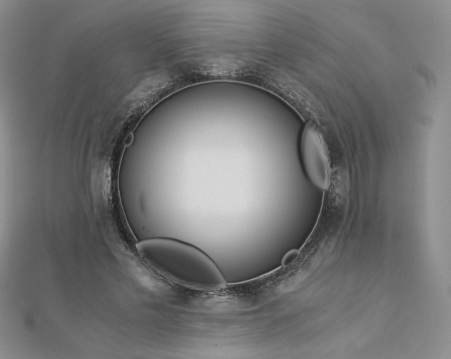 X0000113170589200909041323