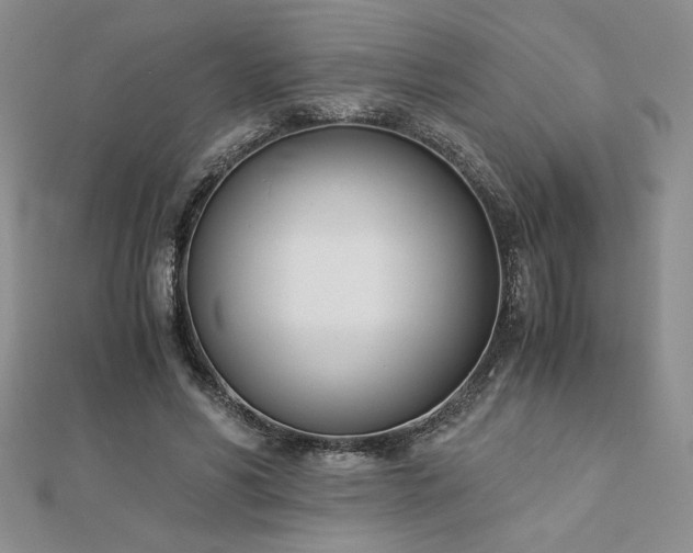 X0000113170590200909041323