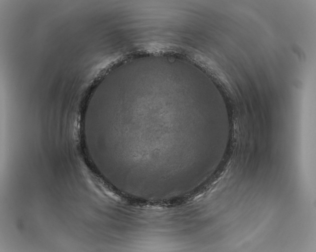 X0000113170592200909041323