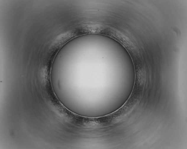 X0000113170594200909041323
