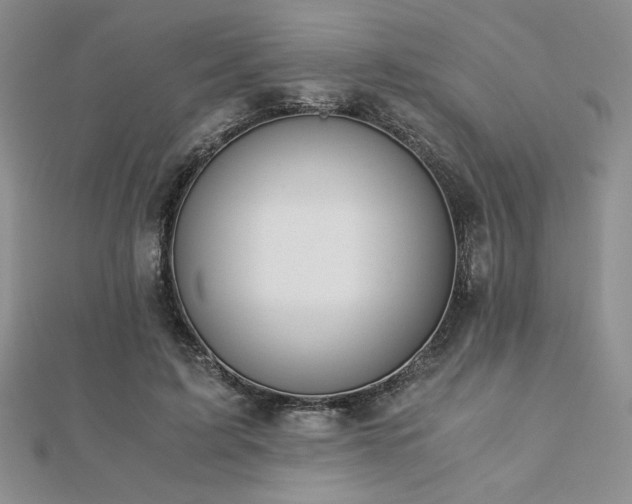 X0000113170595200909041323