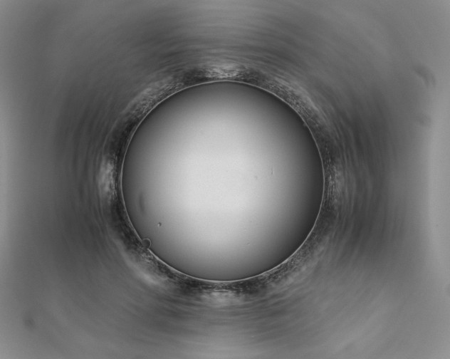 X0000113170598200909041323