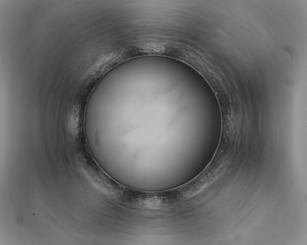 X0000113170600200909041323