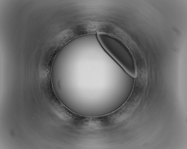 X0000113170601200909041323