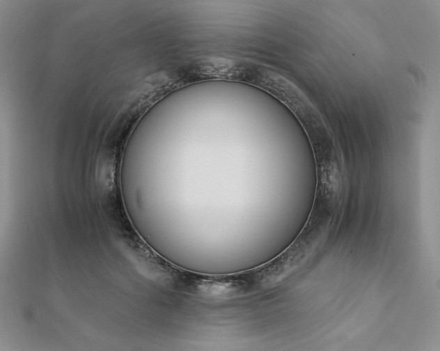 X0000113170602200909041323