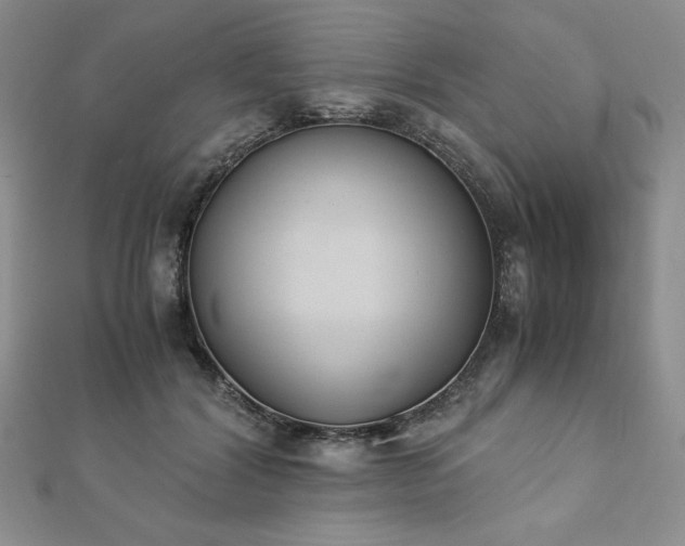 X0000113170604200909041323