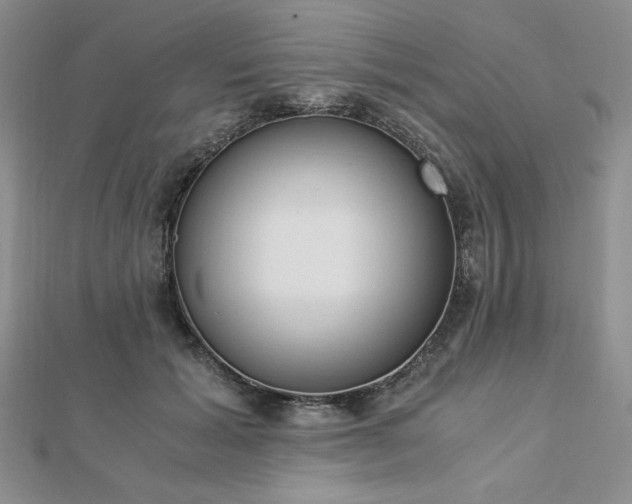 X0000113170605200909041323