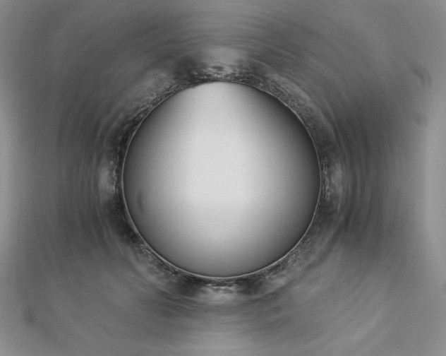 X0000113170606200909041323