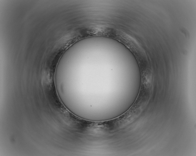 X0000113170607200909041323