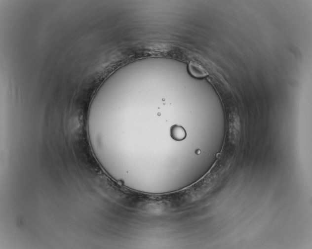 X0000113170608200909041323