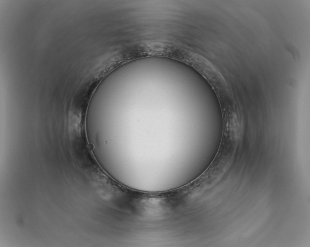X0000113170610200909041323