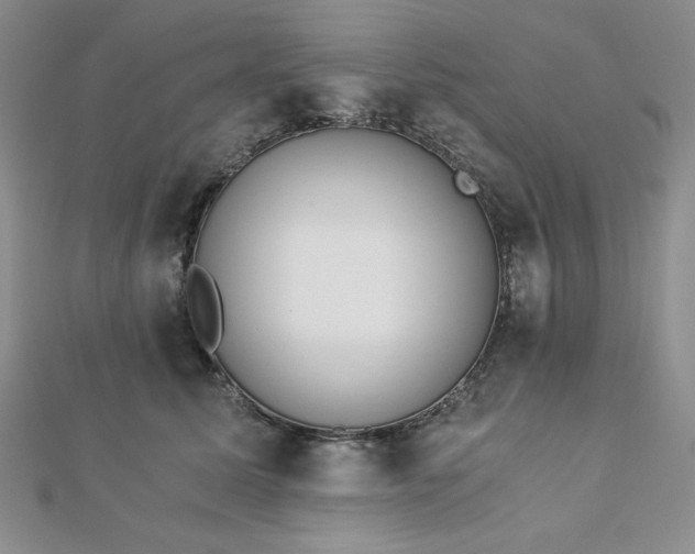 X0000113170611200909041323