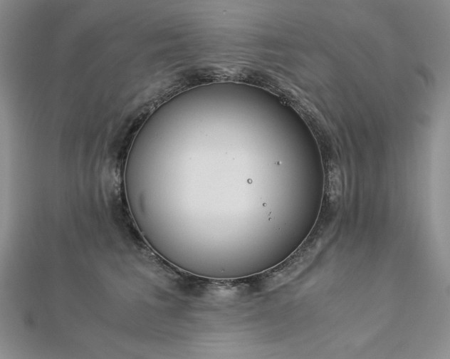 X0000113170613200909041323