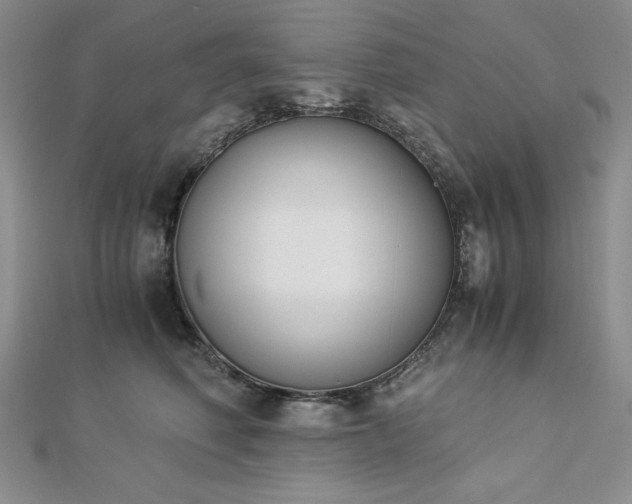 X0000113170614200909041323