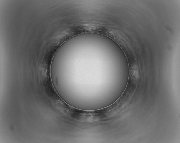 X0000113170615200909041323