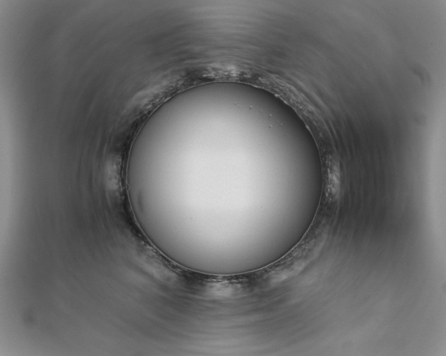 X0000113170616200909041323