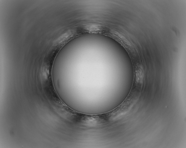 X0000113170618200909041323