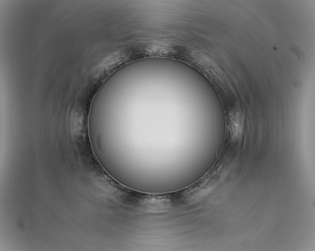 X0000113170619200909041323