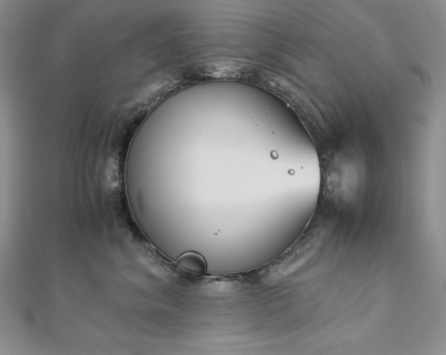 X0000113170620200909041323