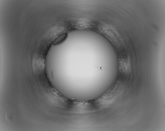 X0000113170621200909041323