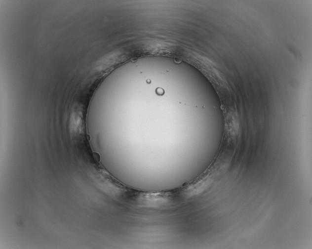 X0000113170622200909041323