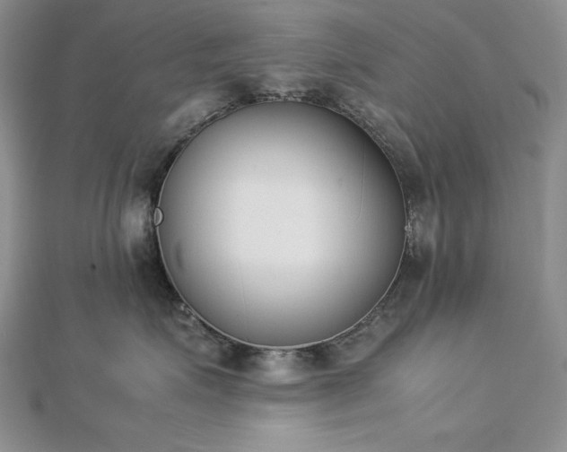 X0000113170623200909041323