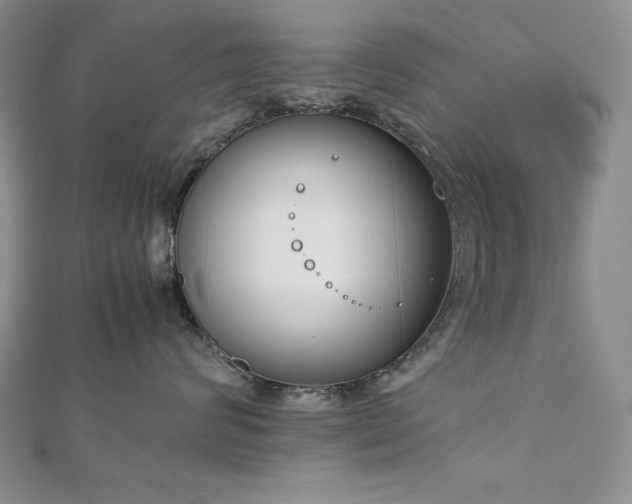 X0000113170624200909041323