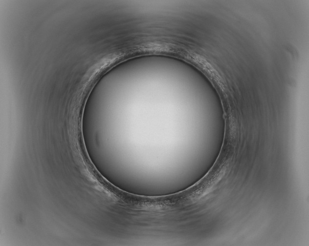 X0000113170625200909041322