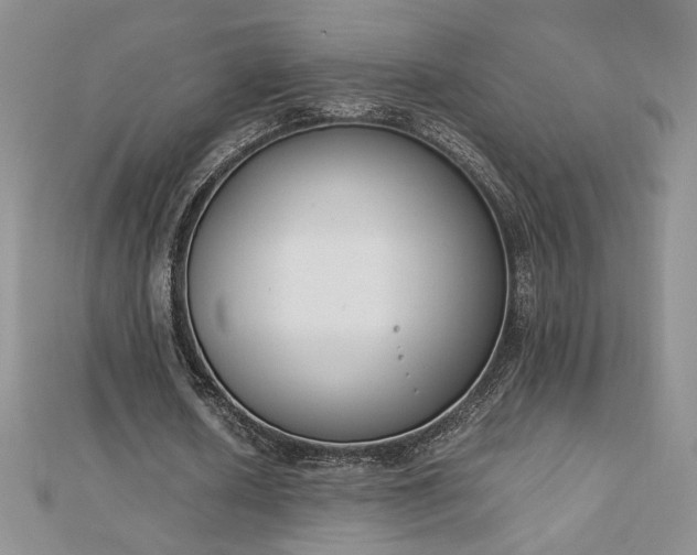X0000113170626200909041322