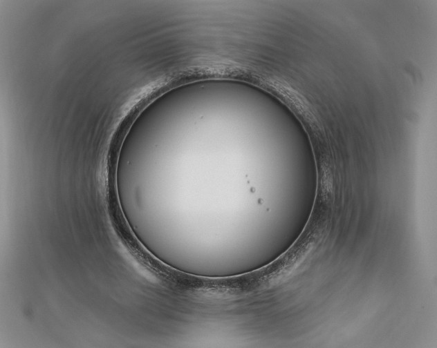 X0000113170630200909041322