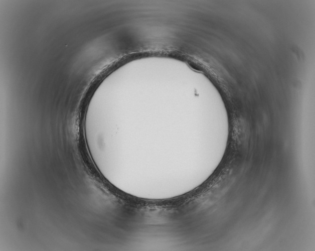 X0000113170632200909041322