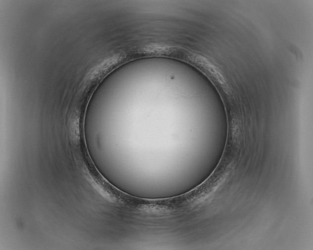 X0000113170633200909041322