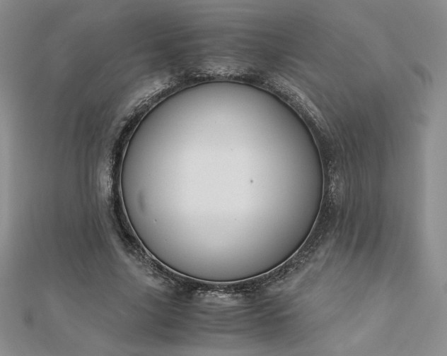 X0000113170635200909041322