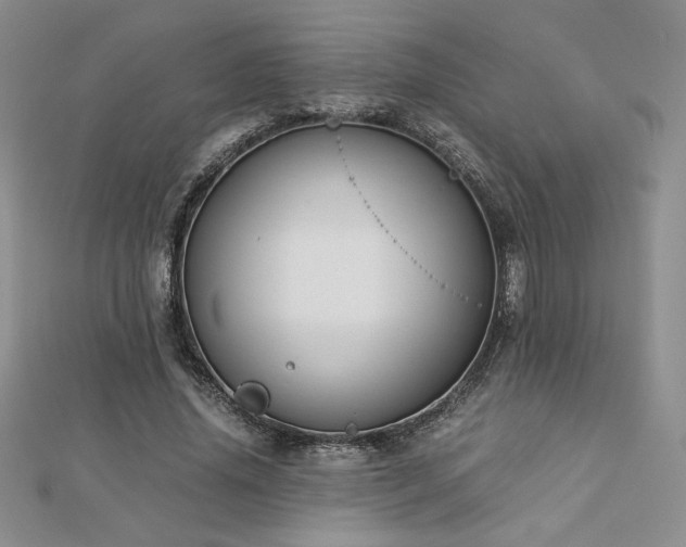 X0000113170636200909041322