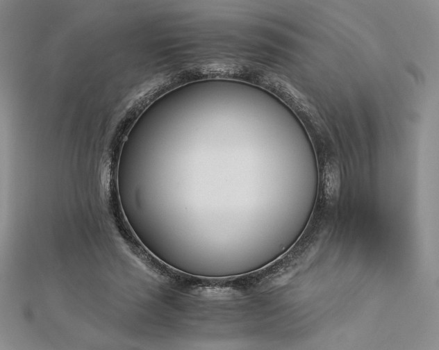 X0000113170637200909041322