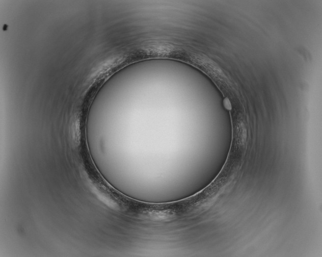 X0000113170638200909041322