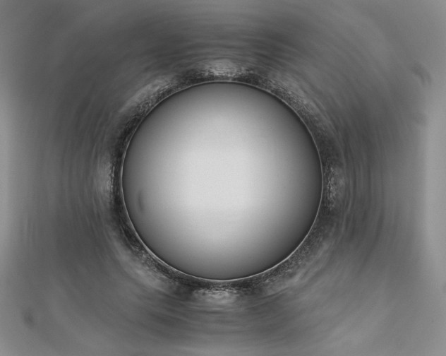 X0000113170639200909041322