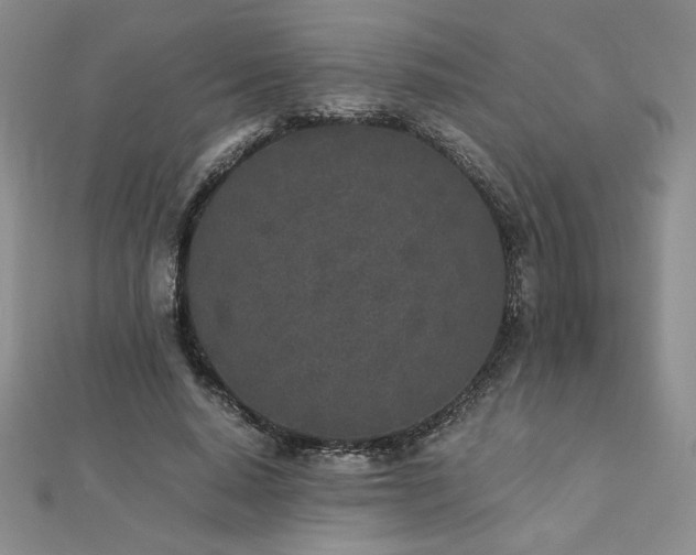 X0000113170640200909041322