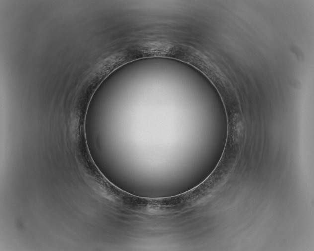 X0000113170641200909041322