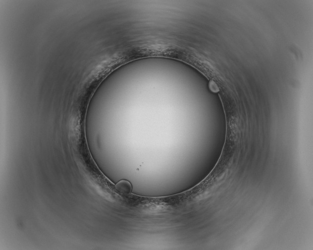 X0000113170642200909041322