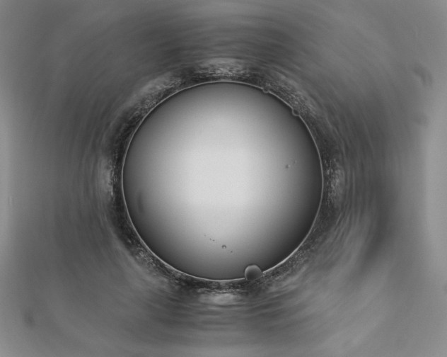 X0000113170643200909041322