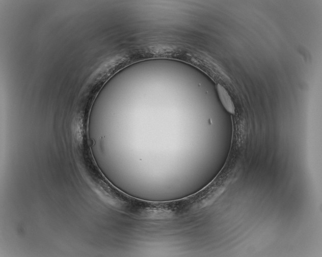X0000113170644200909041322