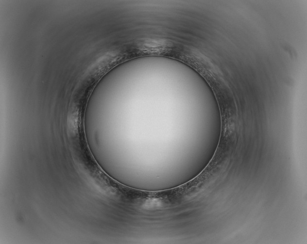 X0000113170647200909041322