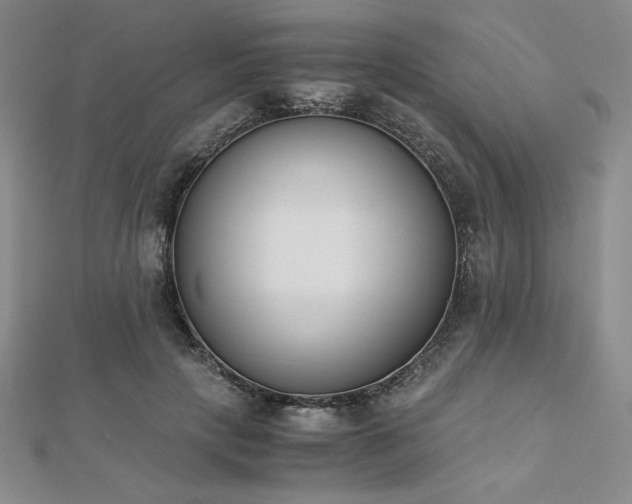 X0000113170649200909041322