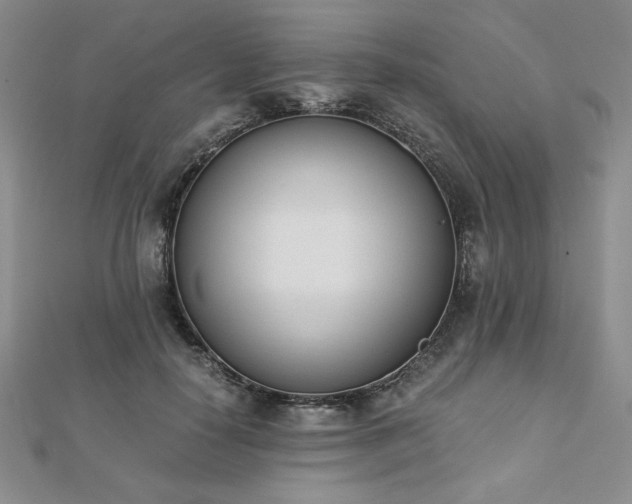 X0000113170650200909041322